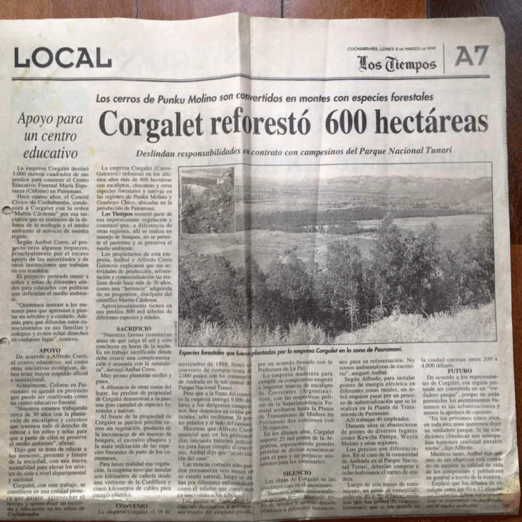 Corgalet Reforestó 600 Hectáreas