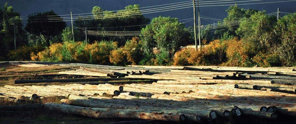 Postes de Madera Tratada Corgalet